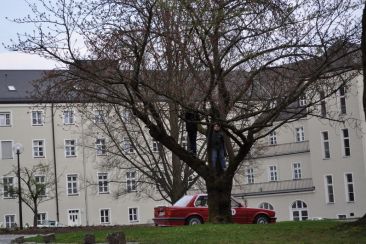 labertal_historic_2012_33_20171221_1225135815.jpg